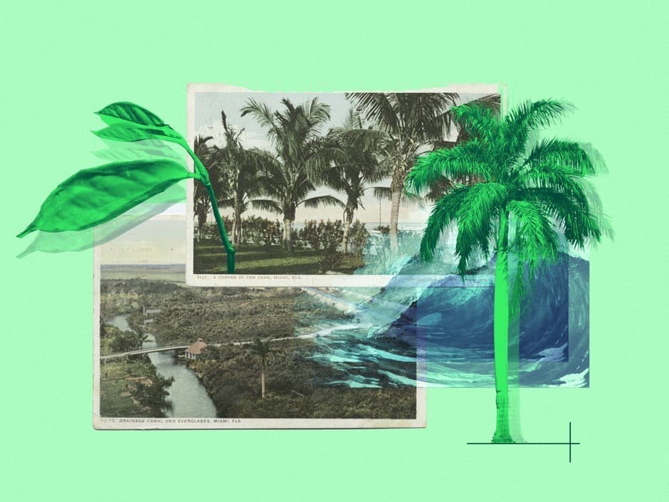 Las desconocidas riquezas arqueológicas que Miami podría perder frente al aumento del nivel del mar