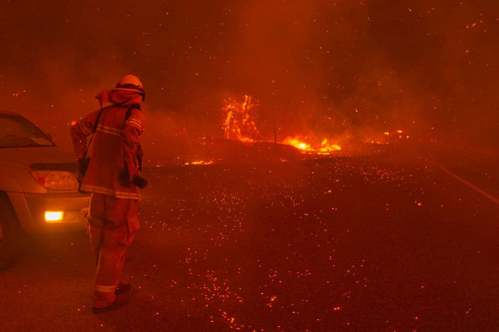 Un bombero en el epicentro del fuego en las cercanías del lago Shaver, en el condado de Fresno. El incendio Creek se propaga velozmente por el Bosque Nacional Sierra y allí trabajan 1,000 efectivos en la contención de las llamas.
<br>