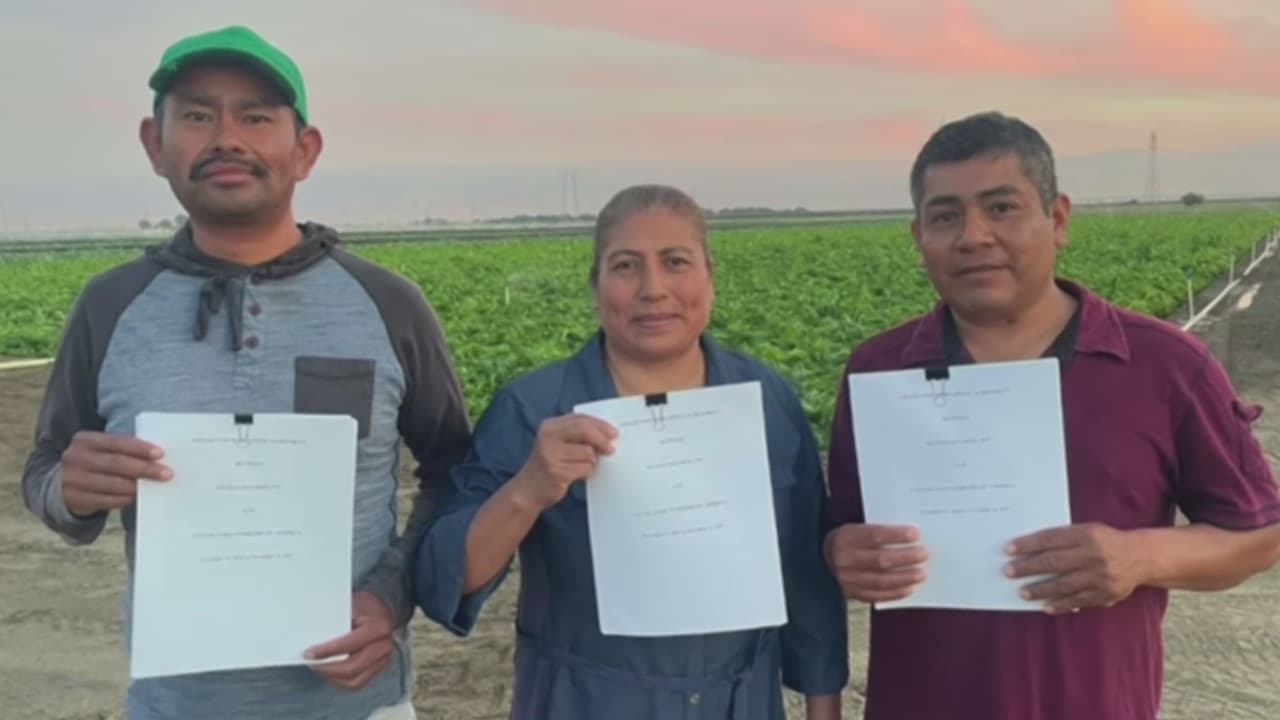 Victoria histórica para trabajadores agrícolas en California: lograron su primer contrato con una compañía