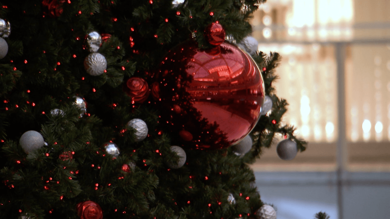 Si quieres patinar, fotografías, conocer a Santa Claus y llevar a tus hijos a una experiencia navideña, planea tu visita para conocer el pino.