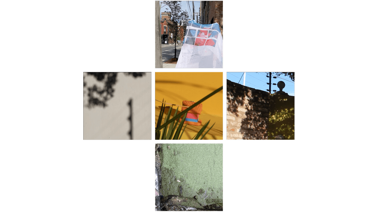 "Cardo" de la artista Elsy Zavarce, quien utiliza técnicas como el video collage, el ensamblaje y la reutilización de materiales para expresarse.