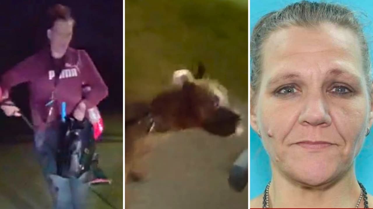 En la última semana, 
<b>dos personas han muerto y una más quedó con heridas graves</b> tras ser atacadas por perros en tres eventos distintos ocurridos en Texas y Florida.
<br>
<br>En los dos casos mortales, las víctimas eran los dueños de las mascotas.