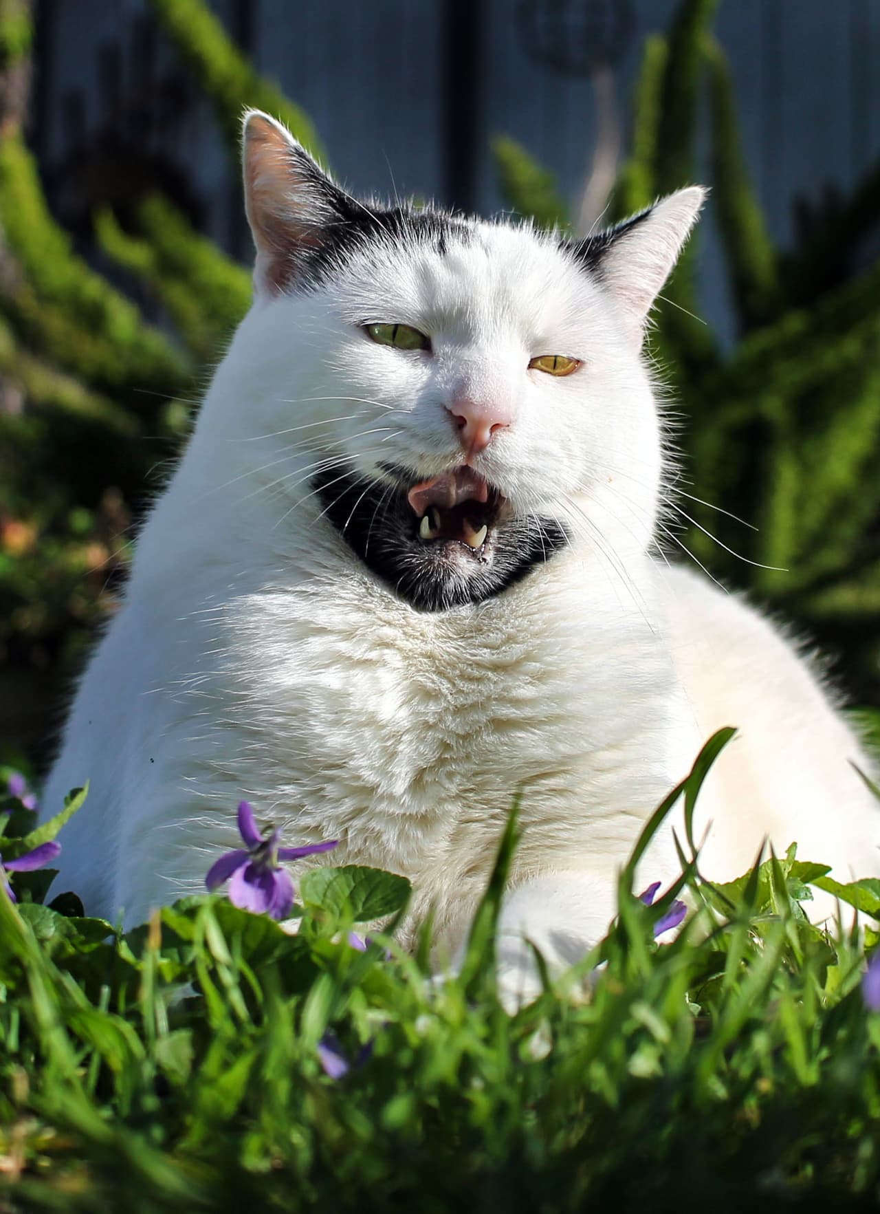 Charlene ha tenido a Gary prácticamente desde que nació.