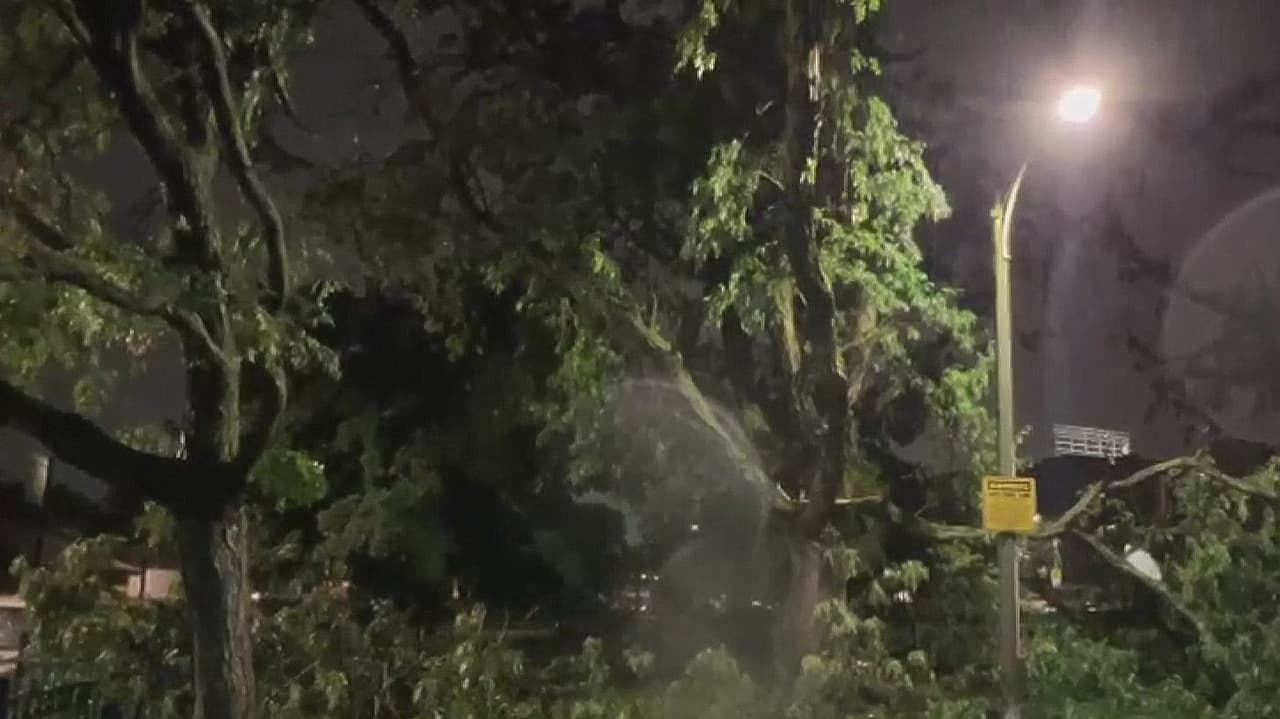 Confirmados cinco tornados: más de 200 mil personas en Illinois despiertan sin electricidad tras el paso de las tormentas severas 