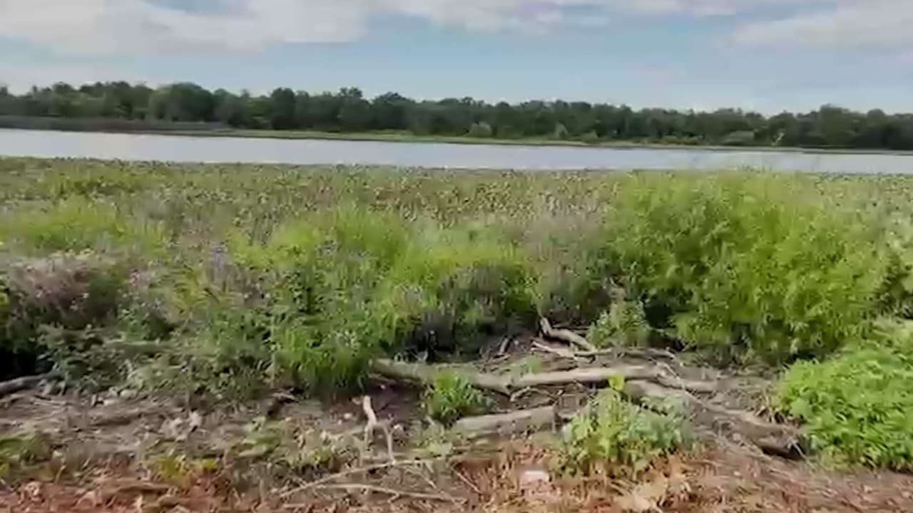Recuperan cuerpo de mujer que murió ahogada tras salvar a una niña en el río Delaware
