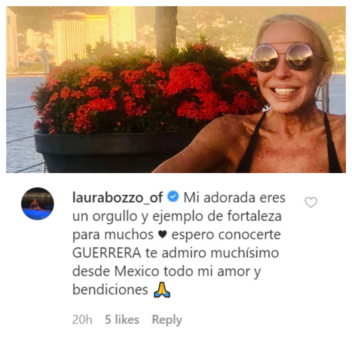 <b><a href="https://www.univision.com/famosos/con-declaraciones-de-laura-bozzo-su-ex-cristian-zuarez-evidencia-que-no-es-un-mantenido-fotos" target="_blank">Laura Bozzo</a></b> también le dedicó algunas palabras: "Mi adorada, eres un orgullo y ejemplo de fortaleza para muchos. Espero conocerte, guerrera. Te admiro muchísimo. Desde México todo mi amor y bendiciones". 
<br>