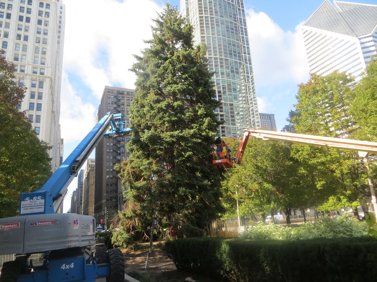Se busca árbol de Navidad, la ciudad de Chicago ya empezó a aceptar nominaciones