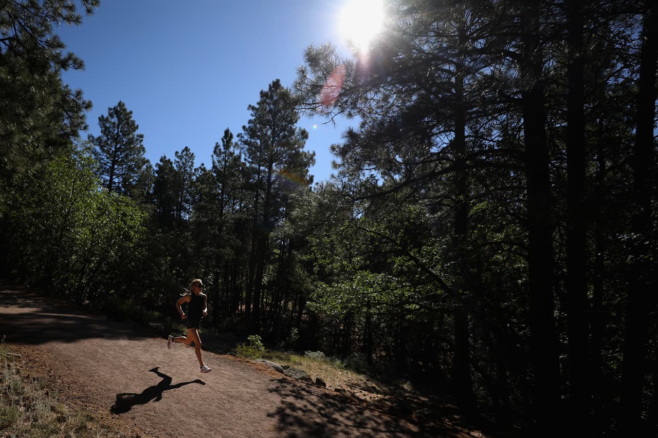 <a href="https://www.univision.com/temas/flagstaff">La ciudad de Flagstaff </a>o frece múltiples atractivos turísticos. Los visitantes pueden esquiar, caminar en bosques y acercarse al Gran Cañón y a la famosa Ruta 66. Su centro histórico también tiene múltiples amenidades.