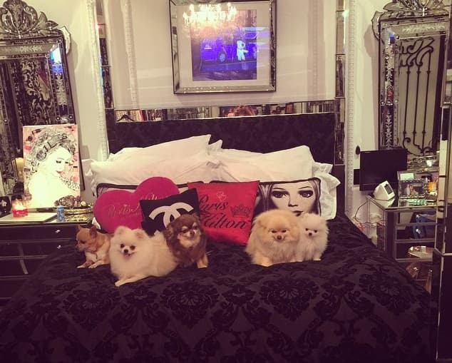 Accesorios Chanel, edredones de seda, objetos de cristal cortado, muebles con finos acabados, perfumes y joyas, esto es algo de lo que podemos encontrar en la habitación de Paris.