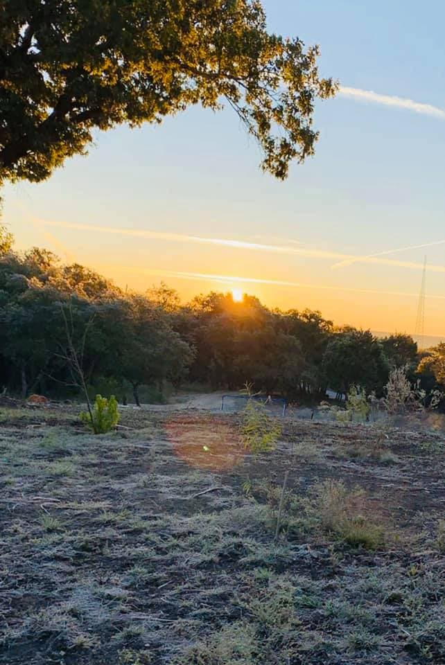 Así se encontraba Leander en horas de la mañana de este viernes.