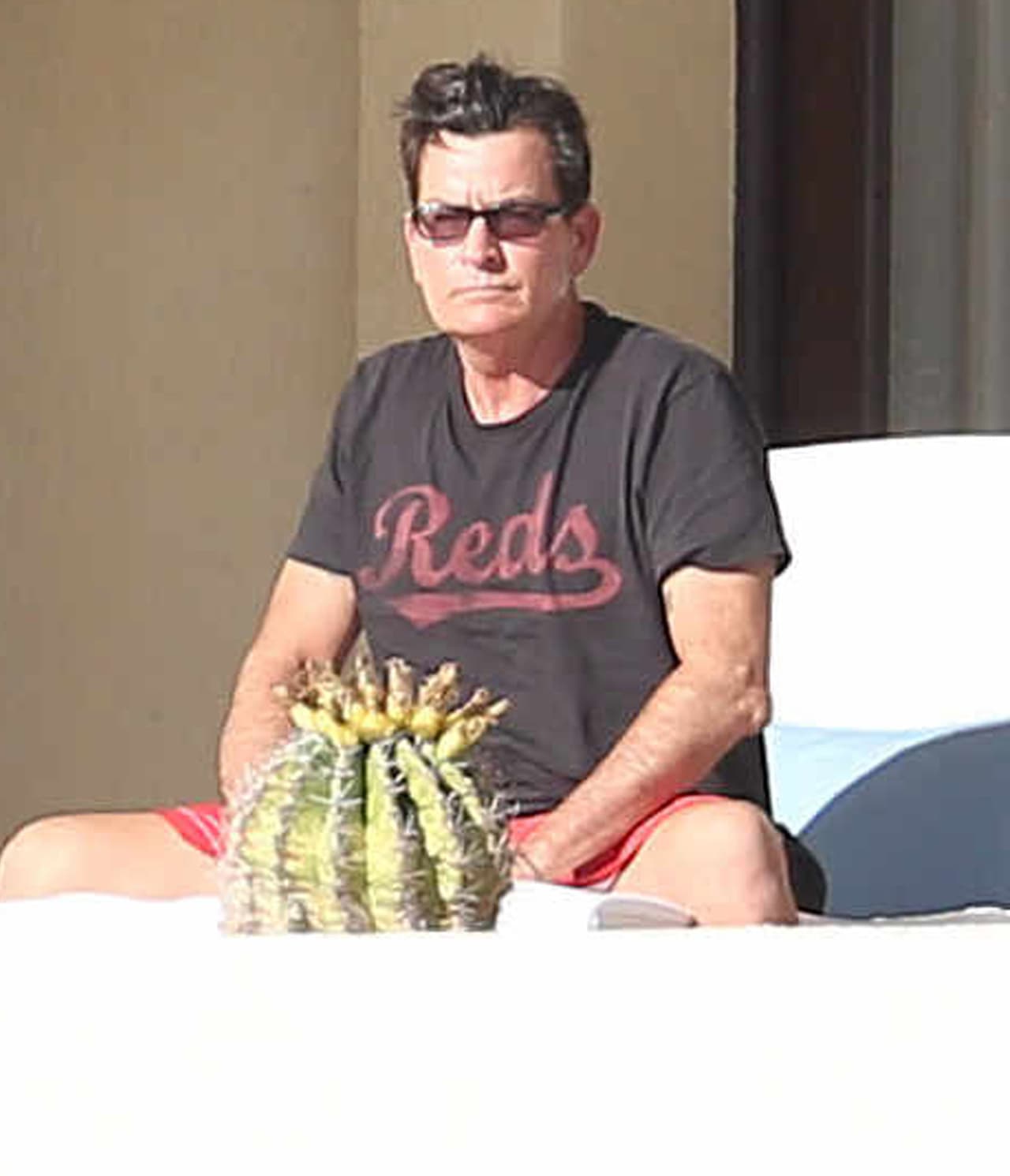 Asi fue visto en el balcón de su hotel mientras tomaba el sol.