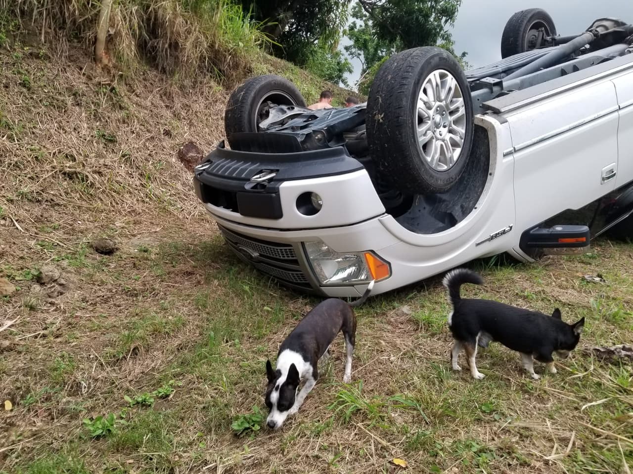 Fallece mujer en finca privada tras volcarse en su vehículo