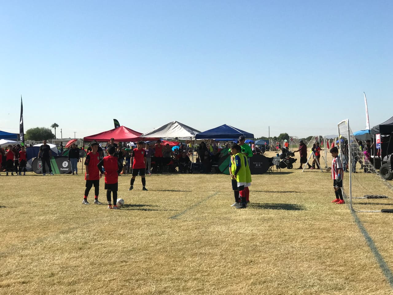 Familias completas se dieron la cita a los campos para jugar. 
<br>