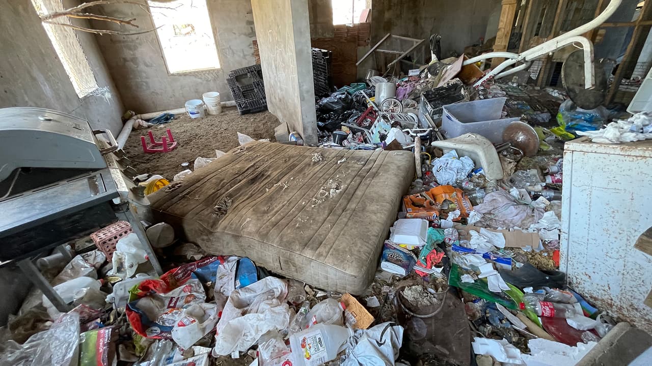 El viernes 11 de marzo, 52 gatos fueron removidos de un hogar en el área de La Marque, viviendo entre escombros y con enfermedades respiratorias.