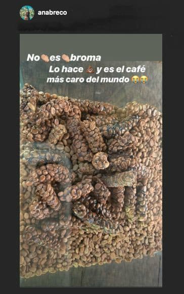 Así como lo cuenta en su foto, la realidad es que 
<b><a href="https://www.nationalgeographic.es/animales/el-perturbador-secreto-tras-el-cafe-mas-caro-del-mundo" target="_blank">una taza de este café puede costar hasta 80 dólares</a></b>.