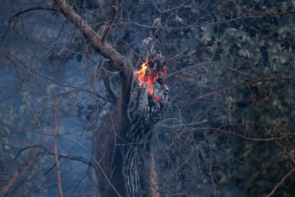 A los $10 millones en pérdidas, Patricia Lock Dawson sumó $1 millón más que costó el operativo puesto en vigor frente a la emergencia.