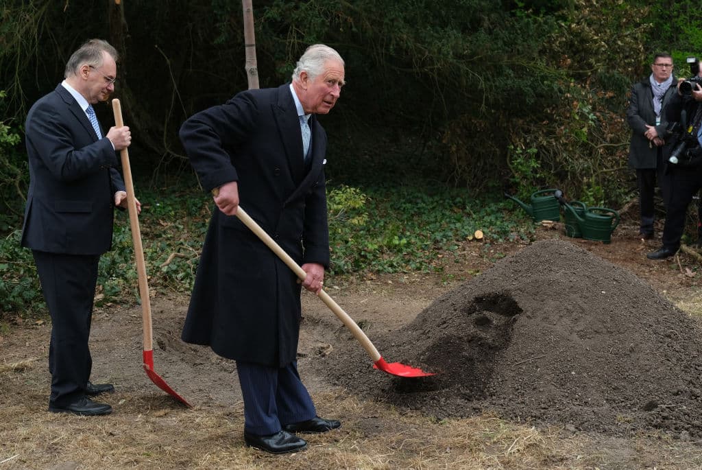 El príncipe asistió a 521 eventos públicos este año, solo 15 más que los 506 de su hermana 
<b><a href="https://www.univision.com/entretenimiento/la-historia-de-amor-de-la-princesa-ana-de-inglaterra-video">la princesa Ana.</a></b>
<br>