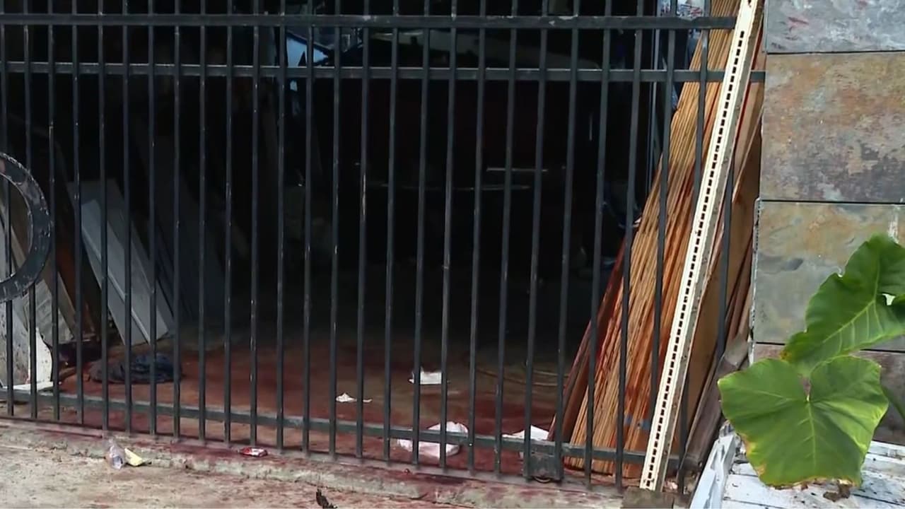 En otro incidente ocurrido en Texas, un hombre hispano perdió la vida el domingo 12 de octubre 
<b><a href="https://www.univision.com/local/houston-kxln/hombre-muere-bacliff-texas-atacado-perros-raza-pitbull-propiedad" target="_blank">tras ser atacado por dos pitbulls</a></b> en la cuadra 400 de la calle Louisiana,
<b> Galveston, Texas. </b>
<br>
<br>Testigos relataron que los animales se abalanzaron sobre un carrito de golf y atacaron al propietario al intentar controlarlos.