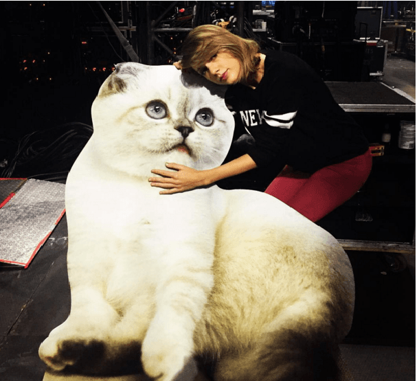 Pero cuando no está cantándole a sus miles de seguidores, esta bonita rubia chiquea a su gata... Aunque sea la versión de cartón, porque no siempre viajan juntas.