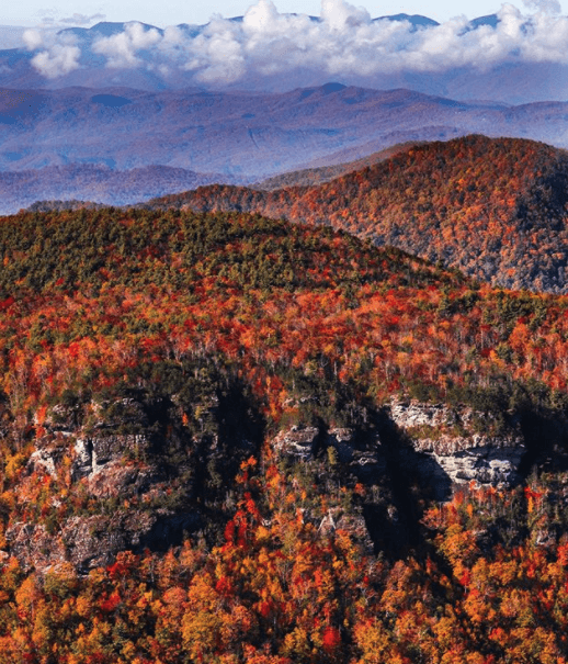 <b>POR CIERTO</b>… disfruta de las mejores fotos de la temporada de otoño en las montañas de Carolina del Norte, 
<b><a href="https://www.univision.com/local/north-carolina-wuvc/las-mejores-fotos-de-la-temporada-de-otono-en-las-montanas-de-carolina-del-norte-fotos" target="_blank">aquí</a></b>.