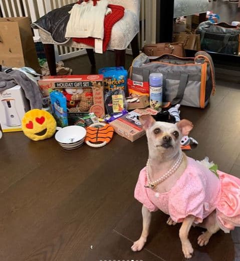 Baguette recibió diversos obsequios y así es como posó junto a ellos.