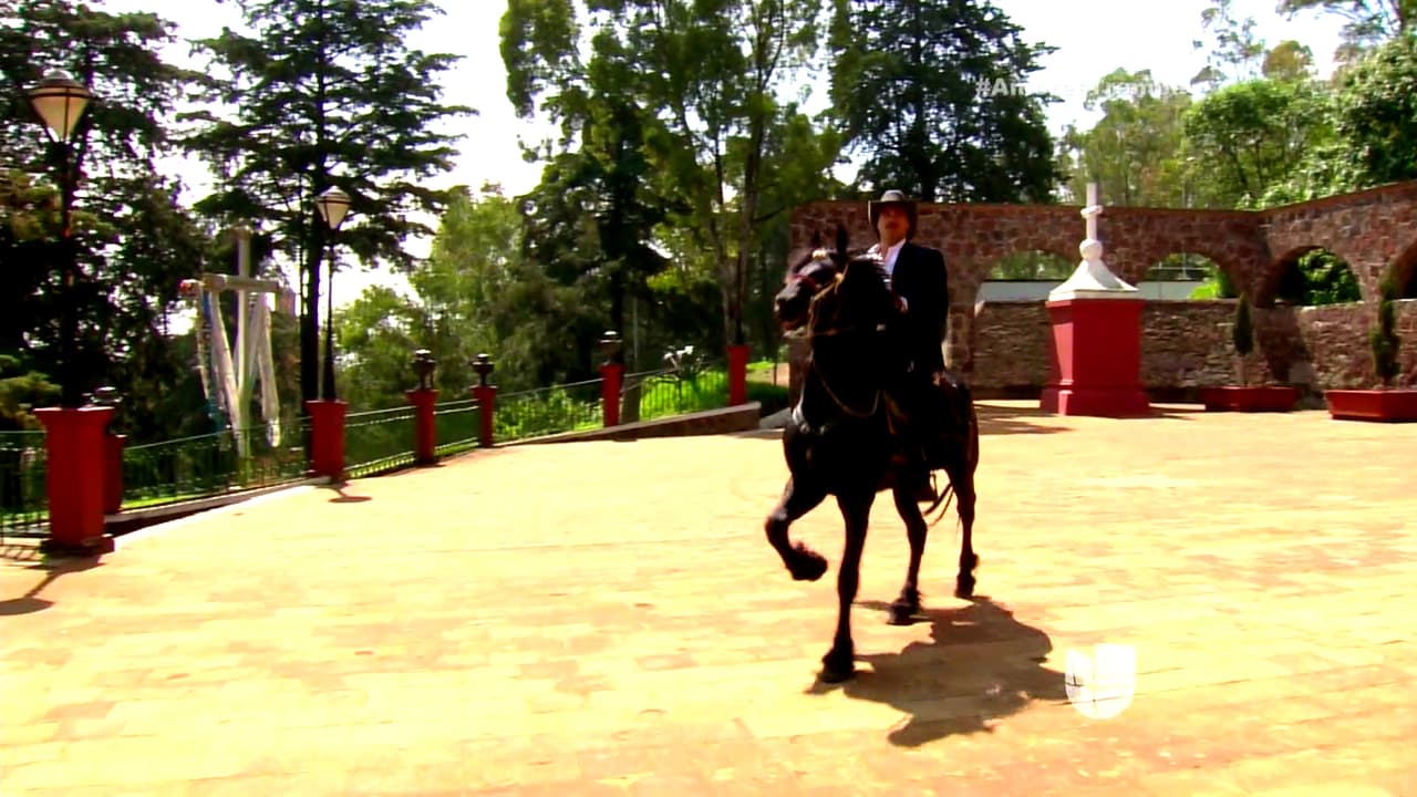 ¡Tenía mucho tiempo que no podía salir así!