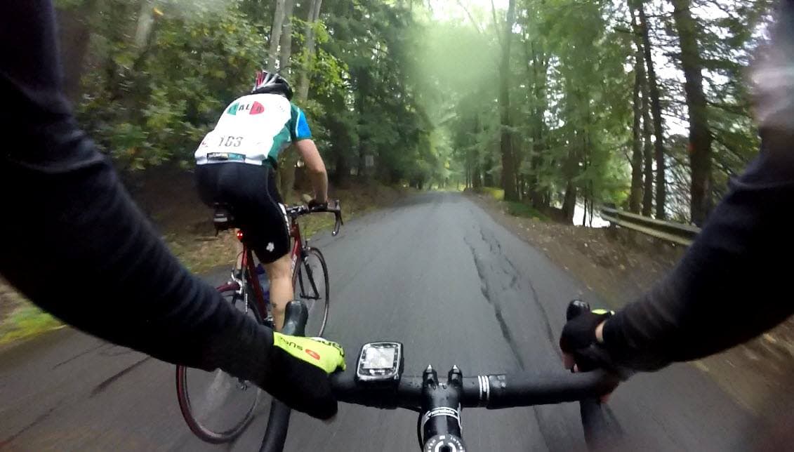 <b>Cook Forest State Park</b>. Pasee entre algunos de los árboles más altos y más grandes del noreste de los EE. UU. En el Longfellow Trail de 1.2 millas en el Área Natural de la Catedral Forestal del Parque Estatal Cook Forest, un Monumento Natural Nacional donde aún prosperan pinos de 300 y 400 años.