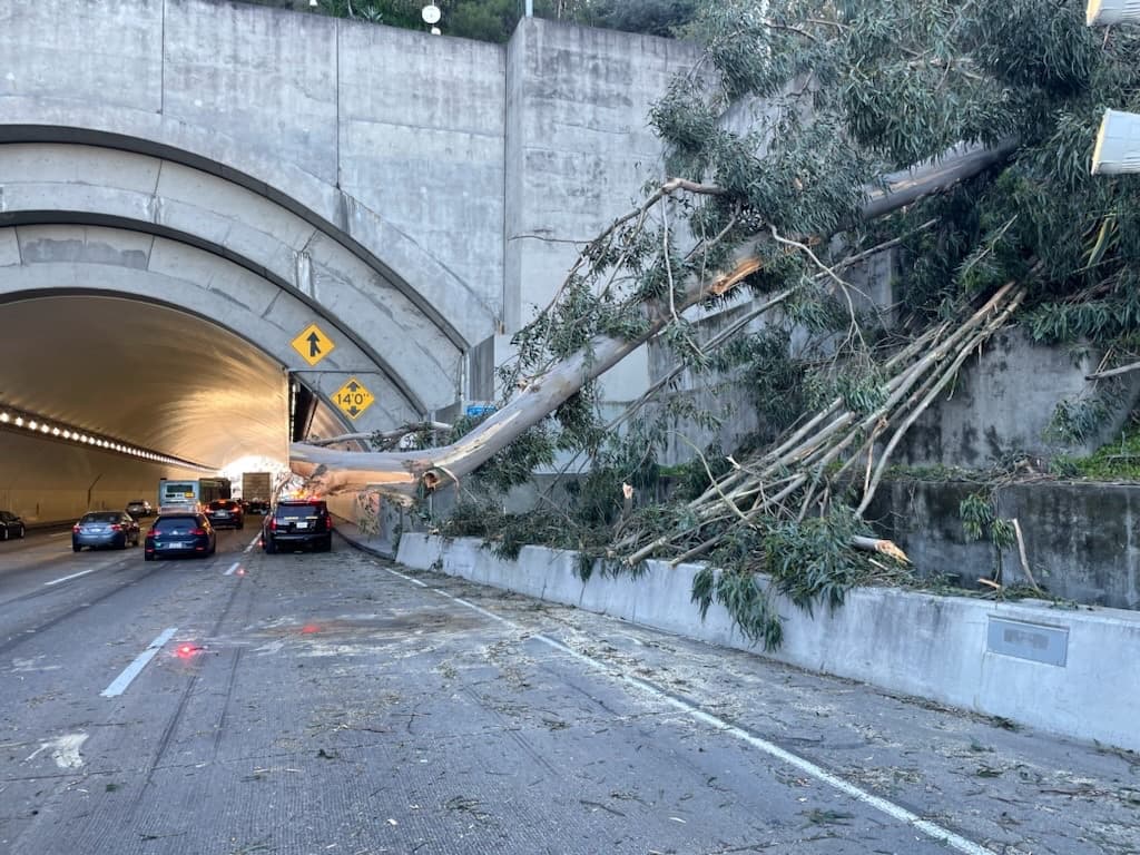 Alrededor de las 4 pm la Patrulla de Caminos informó que cuatro de los cinco carriles del Bay Bridge se habían reabierto a la circulación.