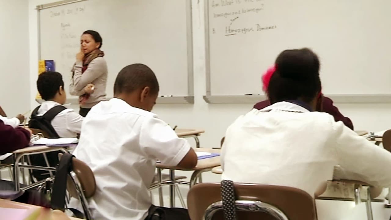 Regresó la temporada de exámenes ¿Qué pueden esperar los padres?