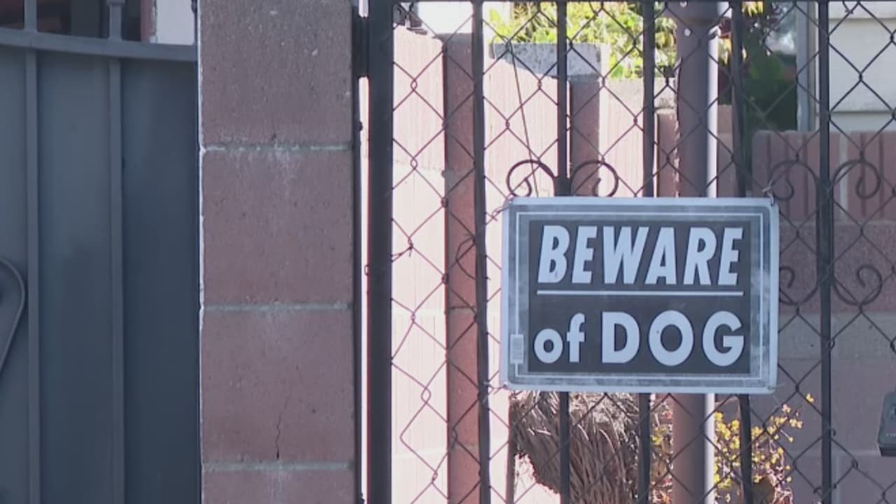 Feroz ataque de un perro deja tres heridos en Norwalk: una tragedia inesperada