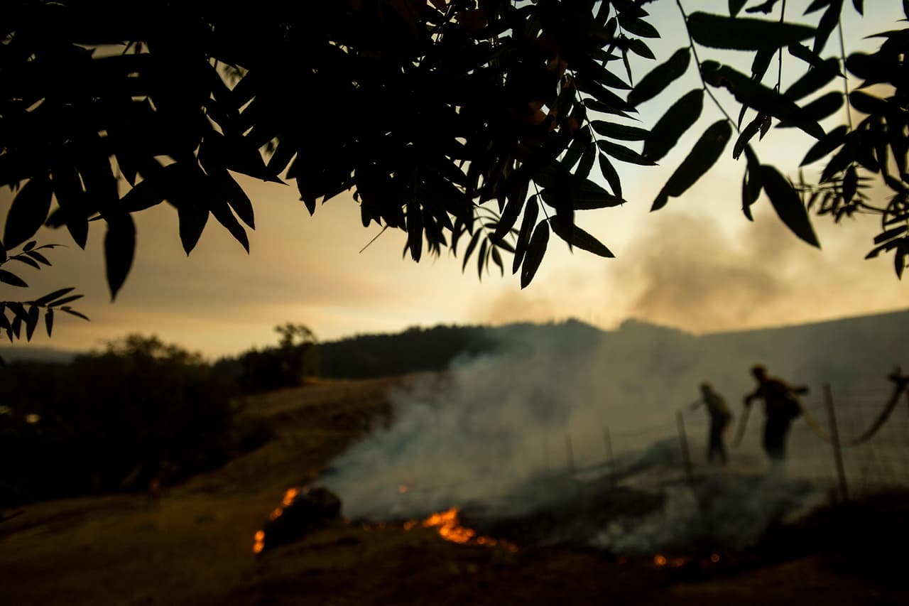 Un modelo computacional del servicio meteorológico muestra que el humo de los incendios será empujado hacia el sur en las próximas horas y podría cubrir la mayor parte del Área de la Bahía.