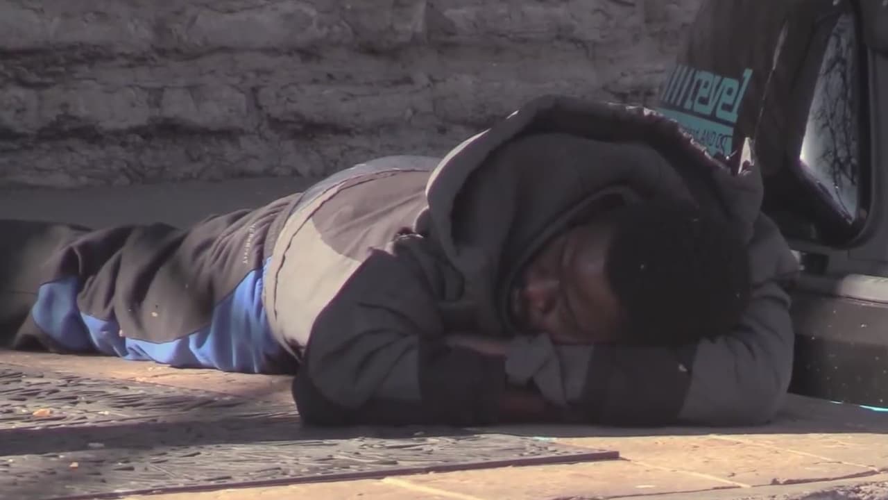 Crean base de datos para que los indigentes en Austin puedan tener acceso a sus documentos de identificación