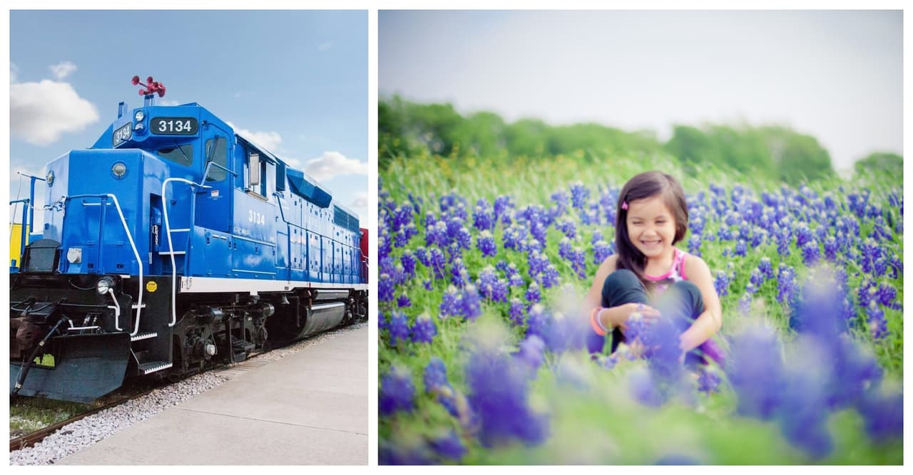 Puedes tomar este tren cerca de Austin para ir al Festival de Bluebonnets