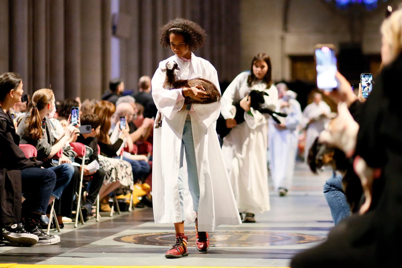 No solo perros y gatos formaron parte de esta procesión.