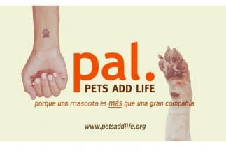Porque una MAScota es más que una gran compañía