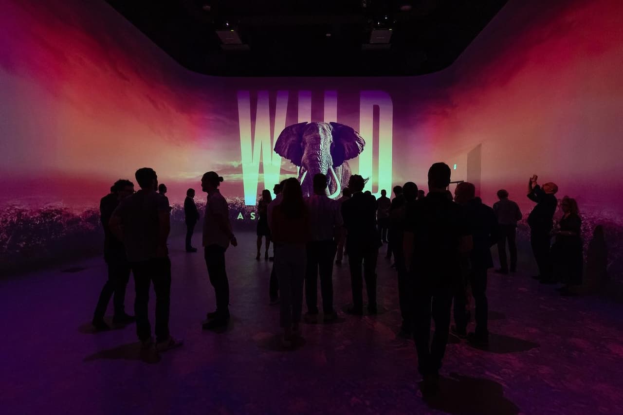 <b><a href="https://www.illuminarium.com/atlanta/upcoming-events/ " target="_blank">Illuminarium After Dark (14 de febrero)</a></b>: Tanto WILD After Dark como el Bar at Illuminarium estarán abiertos de 7 p.m. a 11 p.m. para una edición especial de San Valentín. El 14 de febrero, se incluirá una copa de champán de cortesía con cada visita.