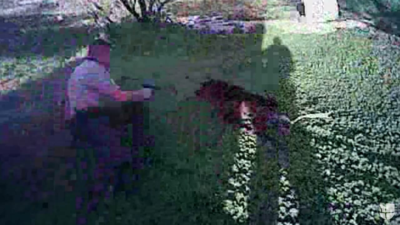 Sheriff de Maricopa en Arizona revela video en el que un oficial dispara su arma contra un perro pitbull 