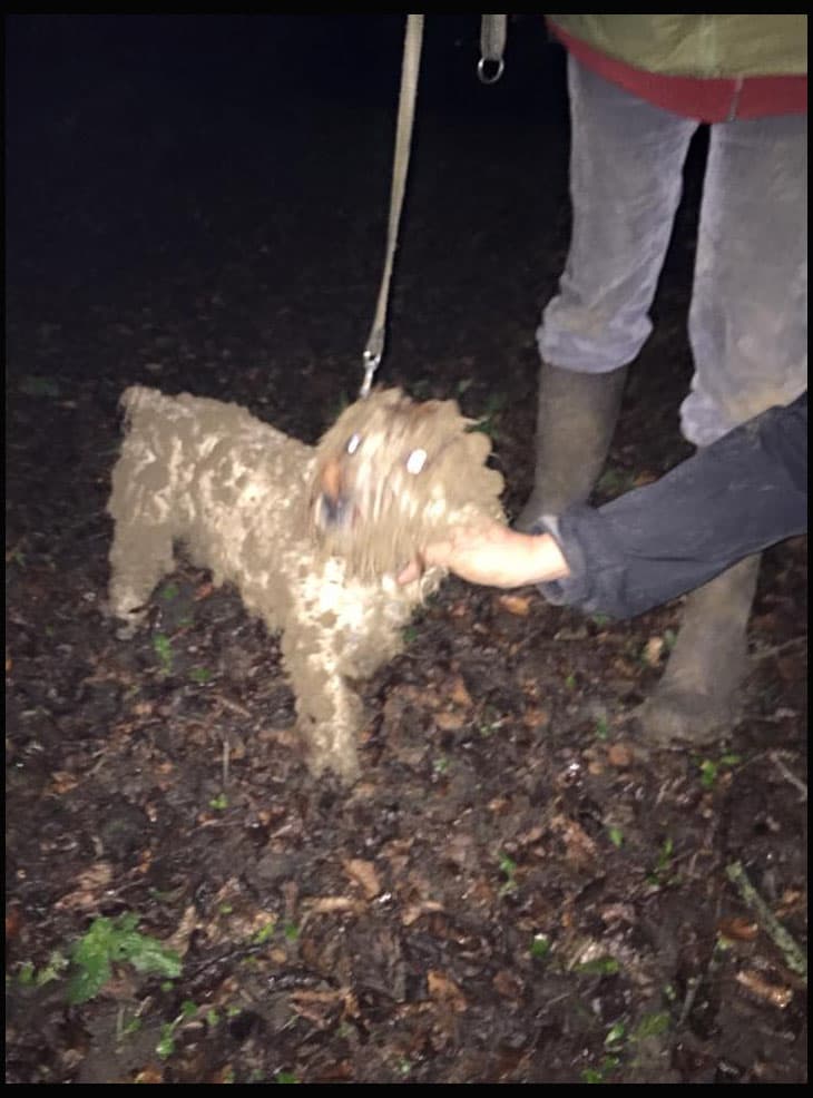 No podía rescatarlo sola, así que emplearon las redes sociales para llamar personas cercanas al lugar para que se acercaran a ayudarlas.
