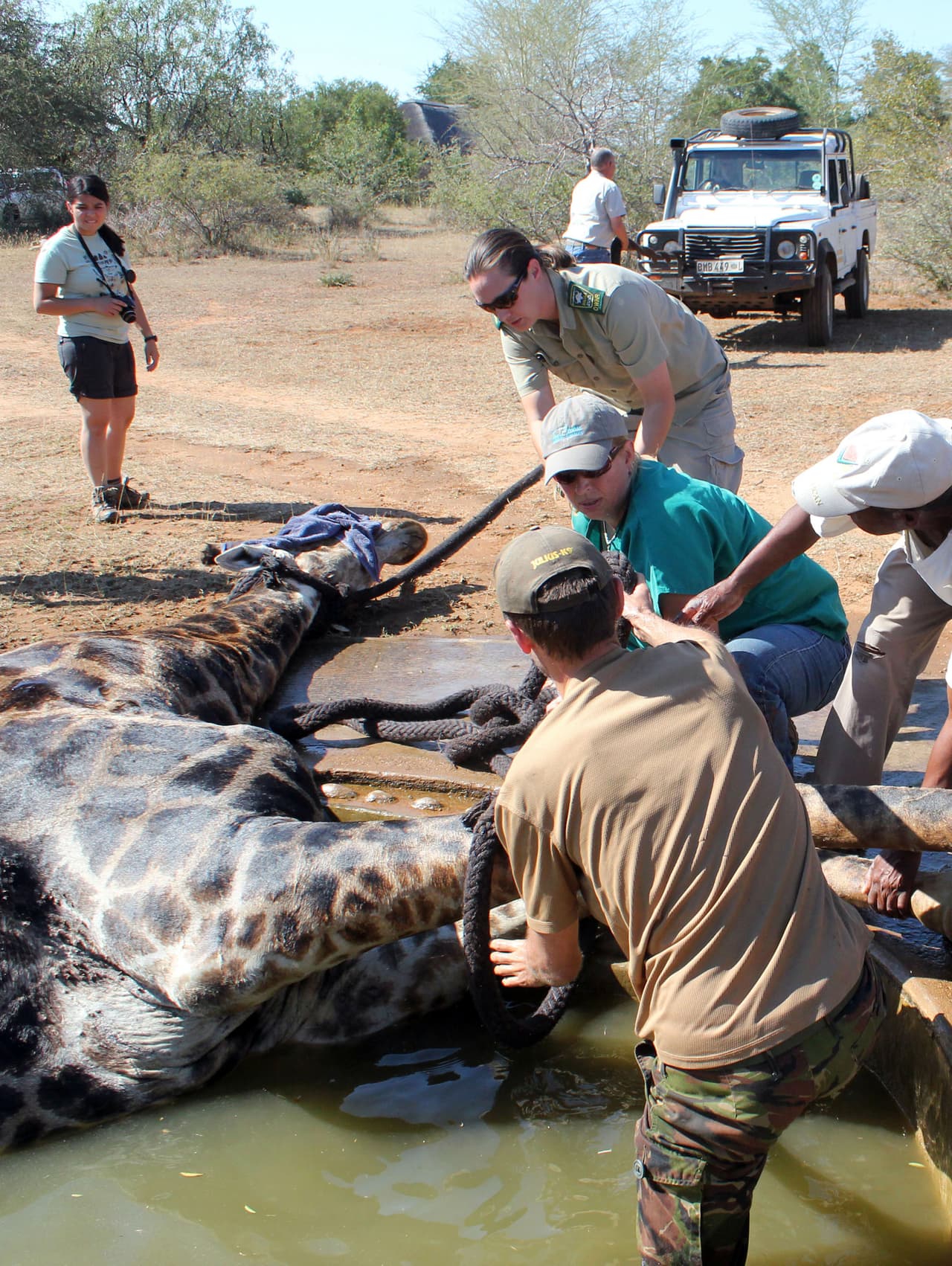 Al final lograron ayudarla para que saliera de ahí.