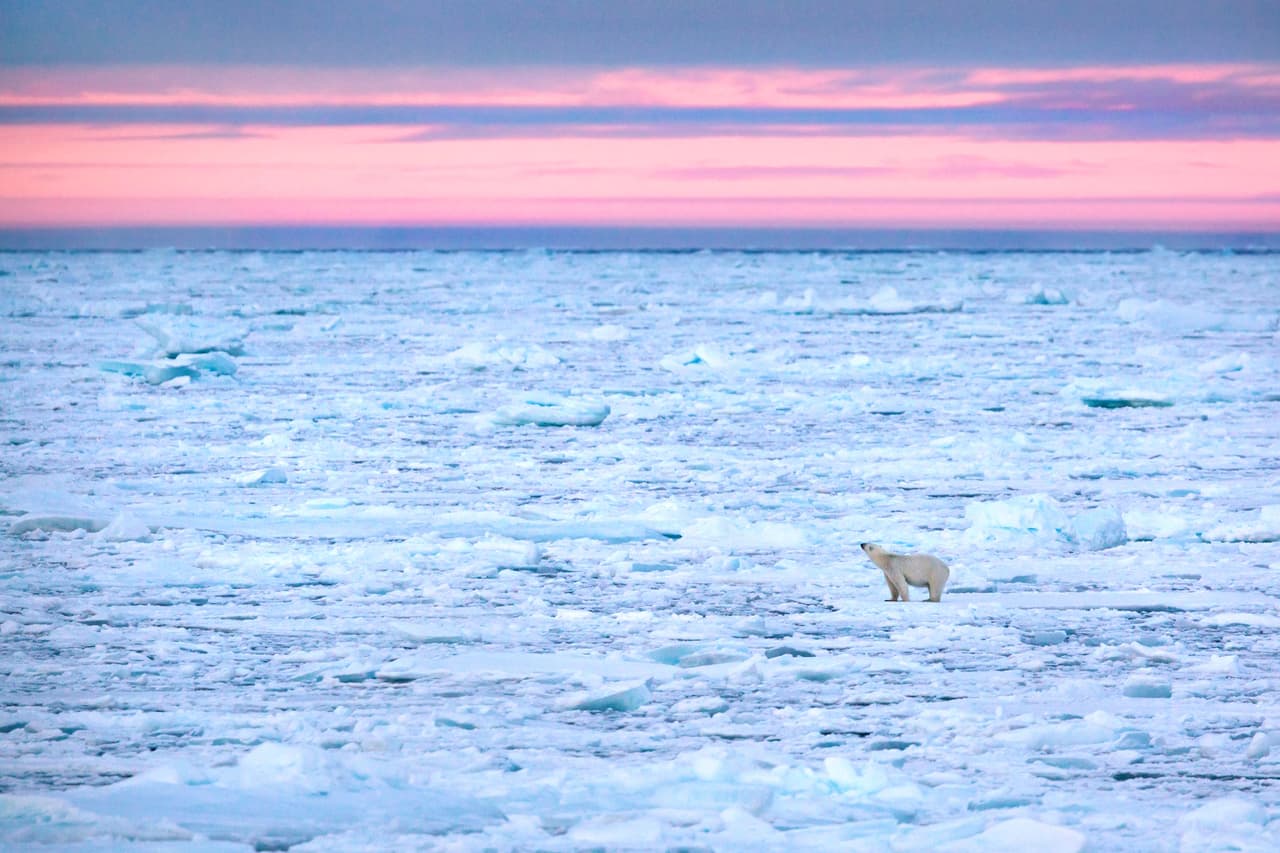 Él quedó atrapado sobre una superficie de hielo que flotaba en medio del helado océano, a un par de kilómetros de la orilla más cercana.