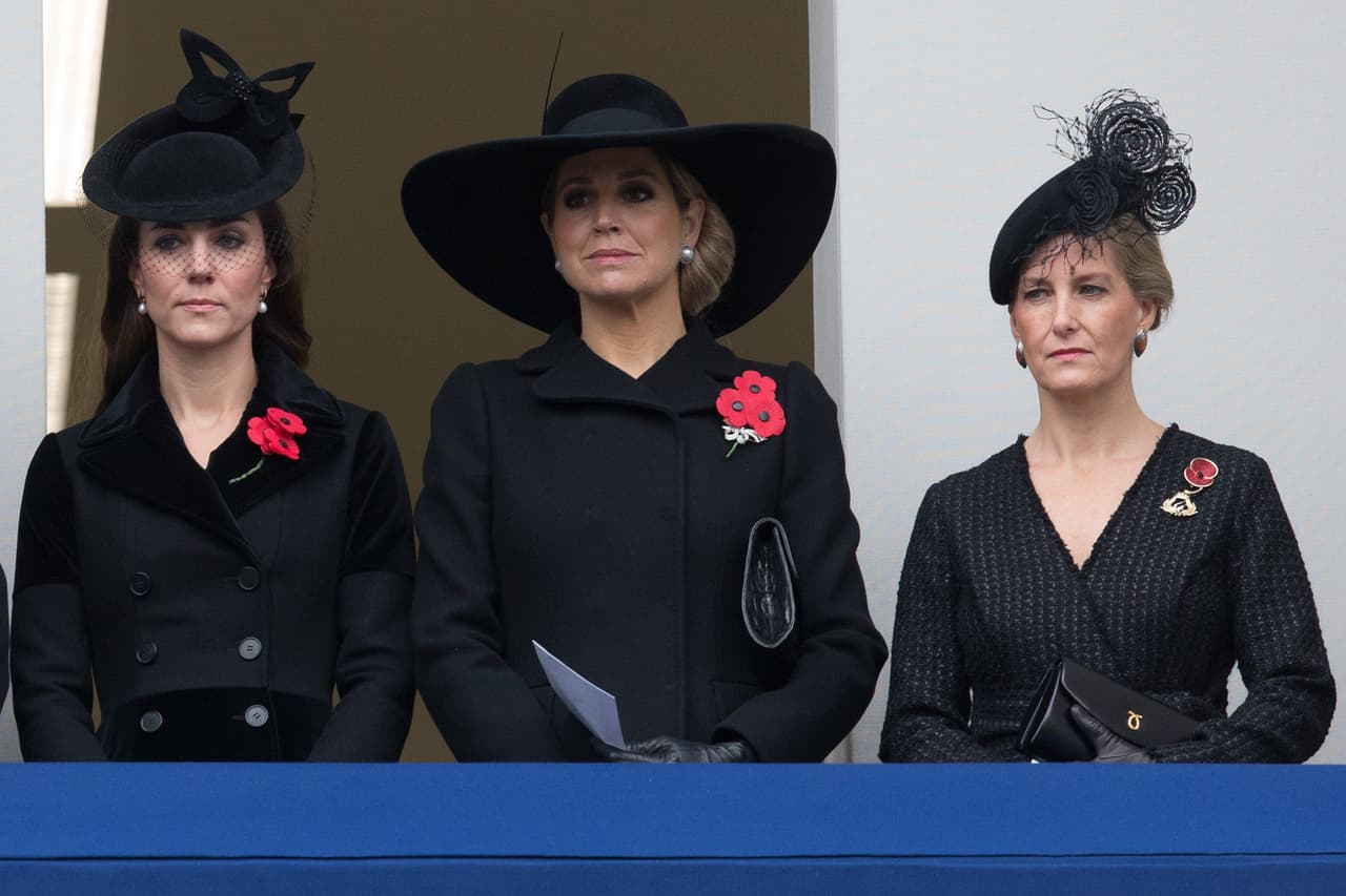 Utilizaron una amapola en su solapa.