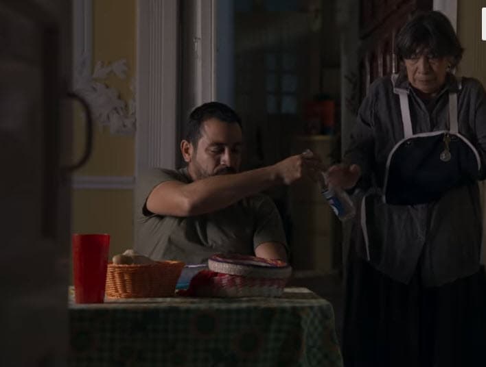 Su última aparición a cuadro en una telenovela fue en 
<b><a href="https://www.univision.com/shows/medicos-linea-de-vida" target="_blank">Médicos, Línea de Vida</a></b>, que actualmente se transmite por Univision. 
<br>