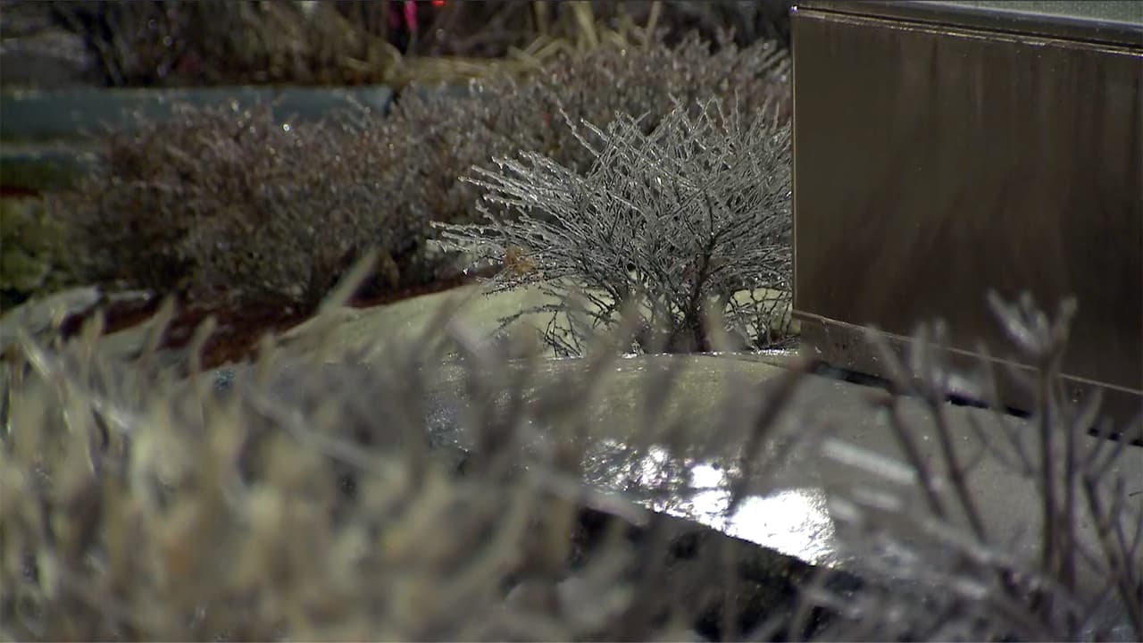 Hacia las 6 de la mañana del jueves, la densa niebla y condiciones resbalosas ocasionaron la cancelación de 66 vuelos, 54 en O’Hare y 12 en Midway.