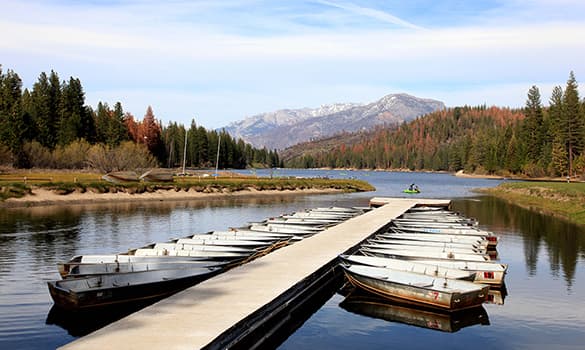 En Sequoia puedes encontrar 52 campamentos, ríos, estanques y lagos, y si lo prefieres puedes tomar paseos en bote, hacer ciclismo, pesca y hasta equitación.
