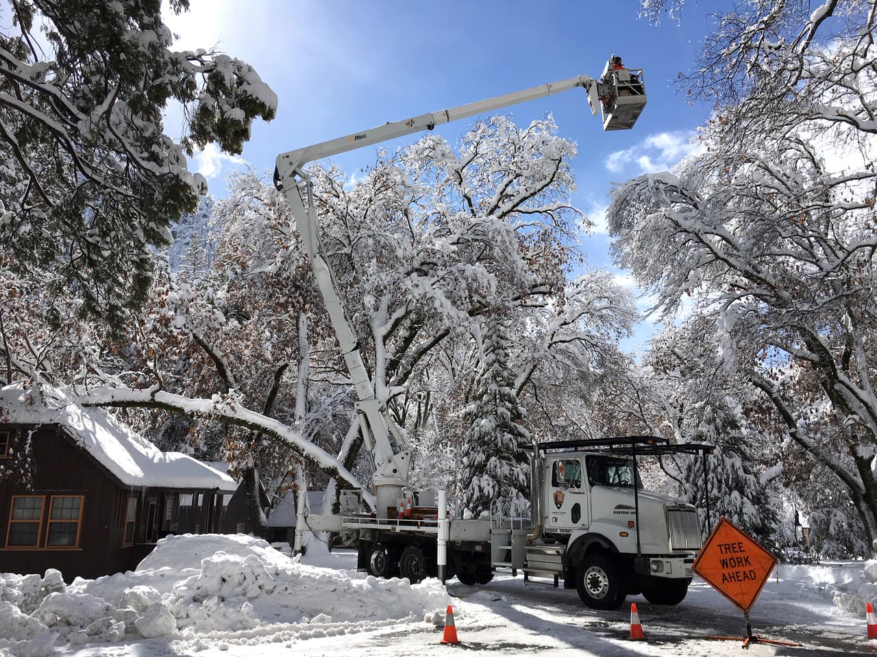 El Servicio Nacional de Parques, reportó que a principios de esta semana, cerca de 50 estructuras de viviendas cercanas a Half Dome Village fueron dañadas por árboles que se cayeron durante una tormenta de nieve.