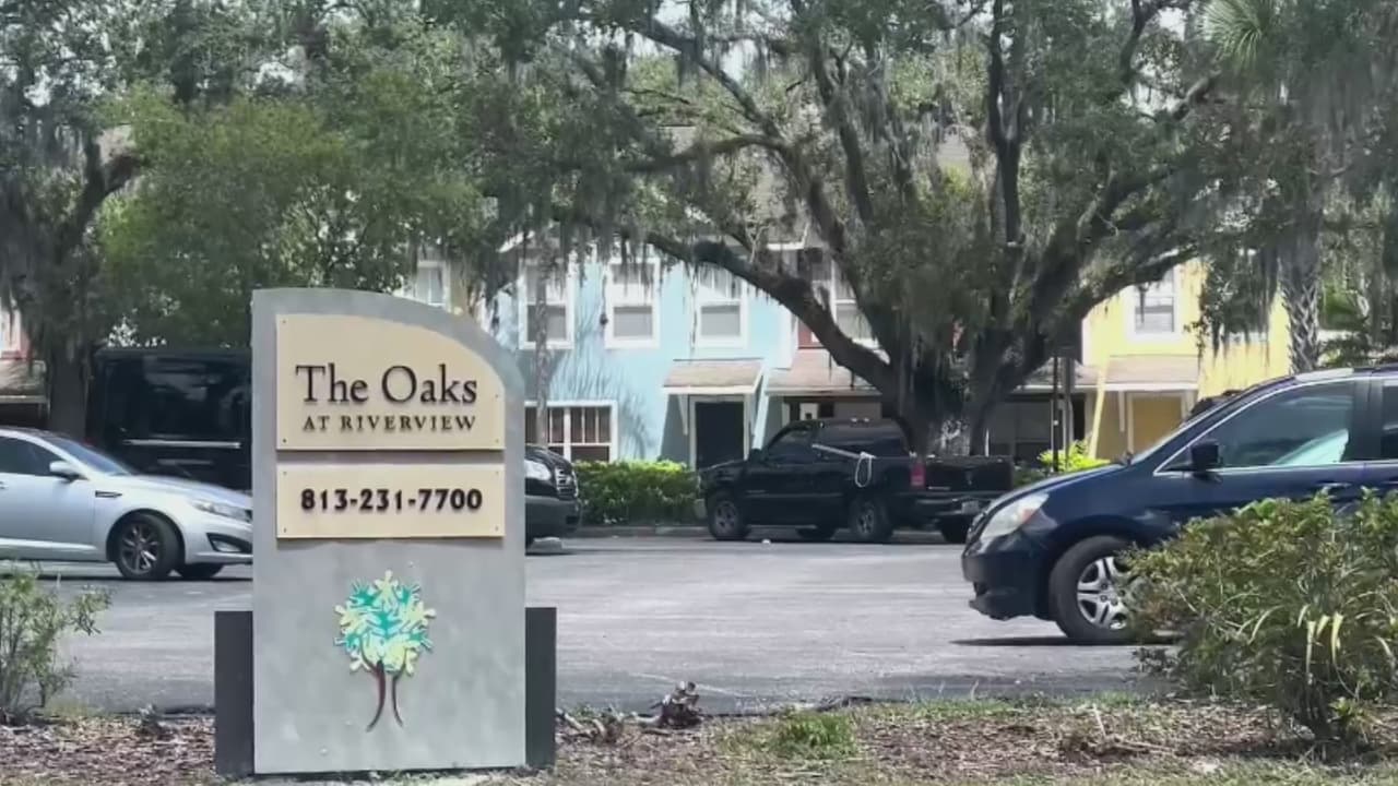 Anuncian acciones ante la situación en edificio residencial en Tampa infestado de ratas y cucarachas