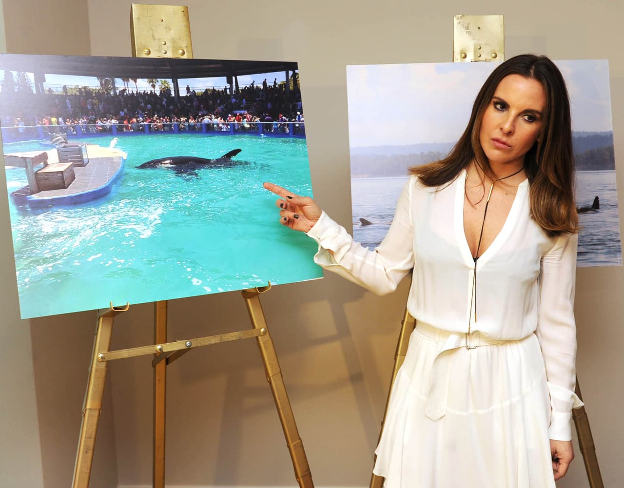 Kate del Castillo es una abanderada usual de la causa de Peta. En enero de 2017, Del Castillo y Personas por la Ética en el Trato de los Animales (PETA por sus siglas en inglés) 
<b><a href="http://www.univision.com/noticias/edicion-digital/kate-del-castillo-pide-la-liberacion-de-lolita-una-orca-del-miami-seaquarium-video">lanzaron una campaña</a></b> para solicitar la liberación de 'Lolita', una ballena orca del Seaquarium de Miami. En los videos de Peta se ve a Del Castillo decir que Lolita sufre en un pequeño tanque y exhorta a las personas a boicotear los parques de atracciones marinas.