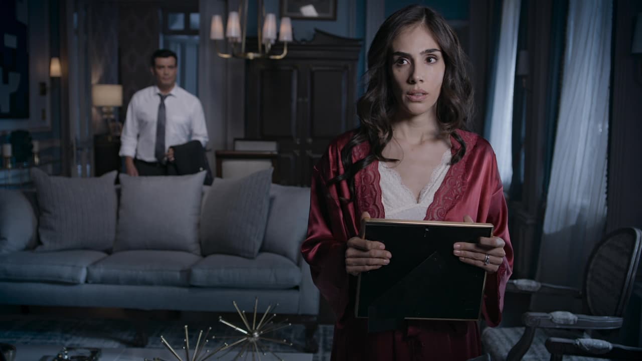 Si bien no hubo desde el primer momento una gran atracción, Paulina compartió con Carlos su deseo de lucha y justicia; él como presidente y ella por su carrera de activista en Colombia.
<br>