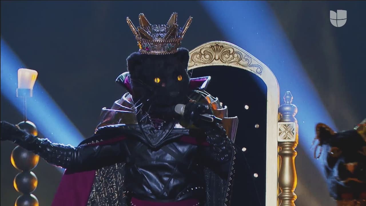 Con su elegancia y talento, este felino personaje demostró que cantar es lo que mejor sabe hacer.