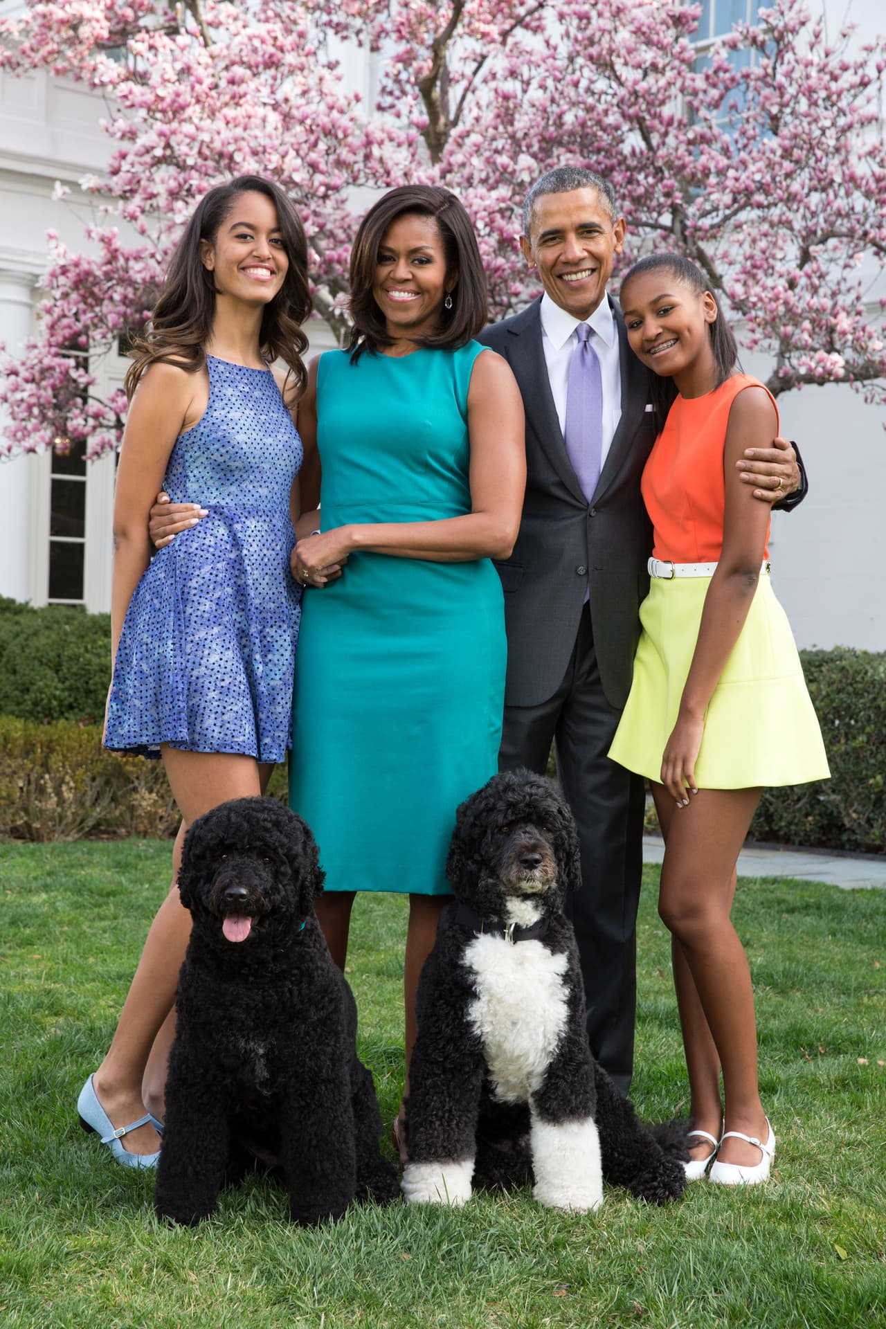 En este retrato de familia, las mascotas Bo y Sunny, se unieron al cuarteto Obama en el Jardín de las Rosas de la Casa Blanca durante la primavera del 2015.